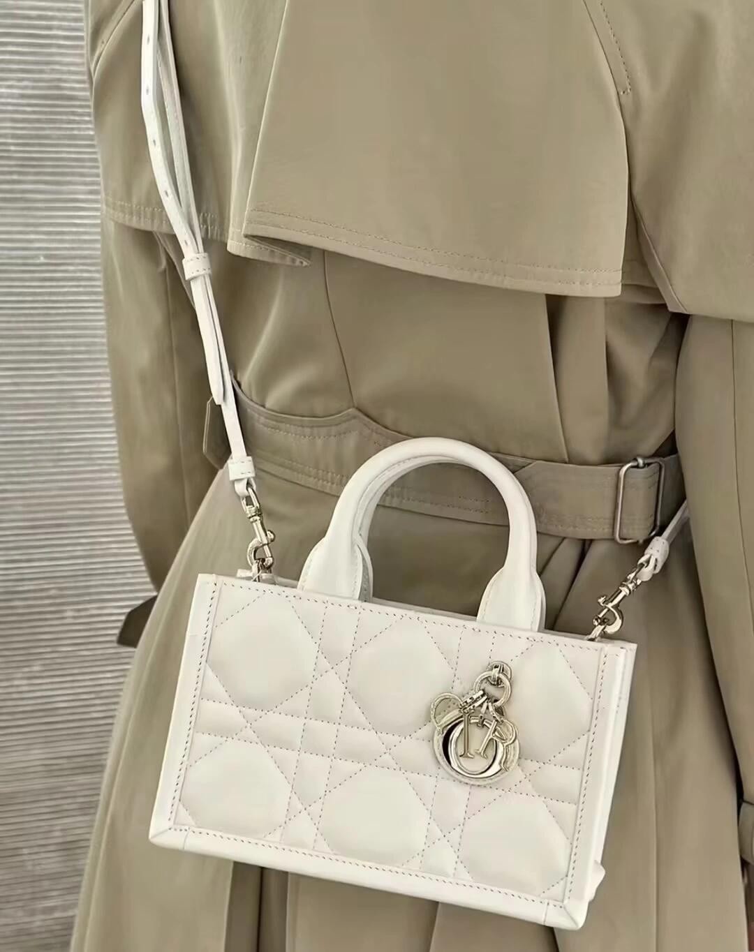 Shebag super replica Dior Mini tote bag white and black review(August 2025 updated)-Best Quality Fake designer Bag Review, Replica designer bag ru Shebag super replica Dior Mini tote bag white and black review(August 2025 updated)-Best Quality Fake designer Bag Review, Replica designer bag ru