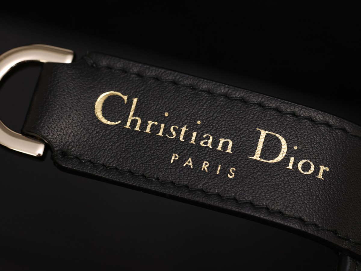 Shebag Super replica Dior toujours bag medium size review(August 2025 updated)-Best Quality Fake designer Bag Review, Replica designer bag ru Shebag Super replica Dior toujours bag medium size review(August 2025 updated)-Best Quality Fake designer Bag Review, Replica designer bag ru