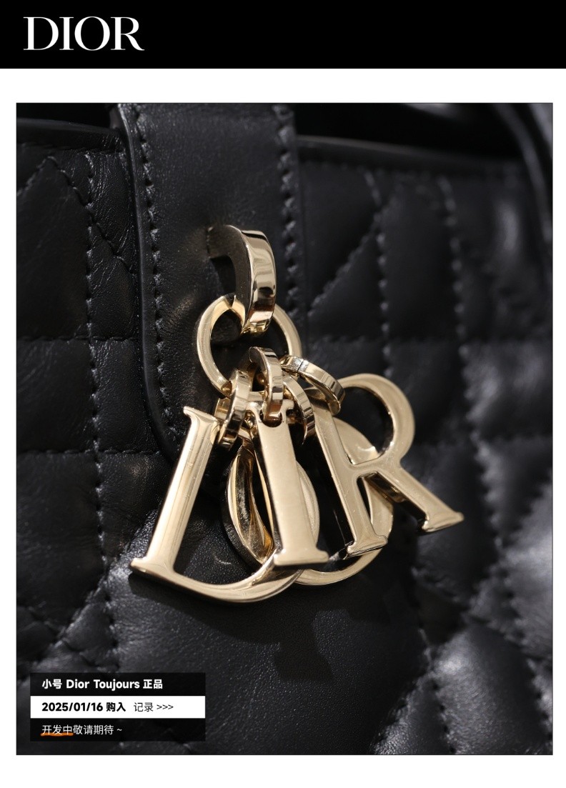 Shebag Super replica Dior Toujours bag details research(August 2025 updated)-Best Quality Fake designer Bag Review, Replica designer bag ru Shebag Super replica Dior Toujours bag details research(August 2025 updated)-Best Quality Fake designer Bag Review, Replica designer bag ru