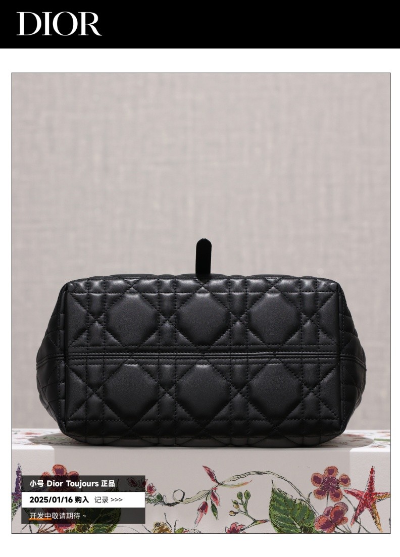 Shebag Super replica Dior Toujours bag details research(August 2025 updated)-Best Quality Fake designer Bag Review, Replica designer bag ru Shebag Super replica Dior Toujours bag details research(August 2025 updated)-Best Quality Fake designer Bag Review, Replica designer bag ru