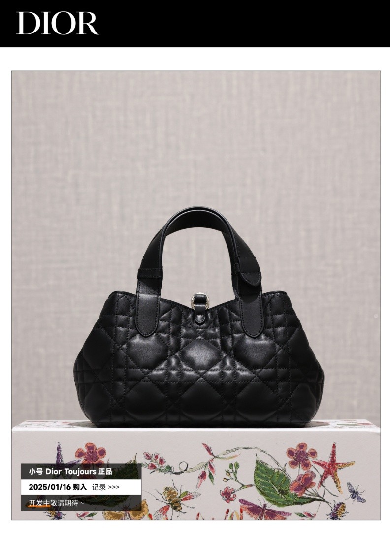 Shebag Super replica Dior Toujours bag details research(August 2025 updated)-Best Quality Fake designer Bag Review, Replica designer bag ru Shebag Super replica Dior Toujours bag details research(August 2025 updated)-Best Quality Fake designer Bag Review, Replica designer bag ru
