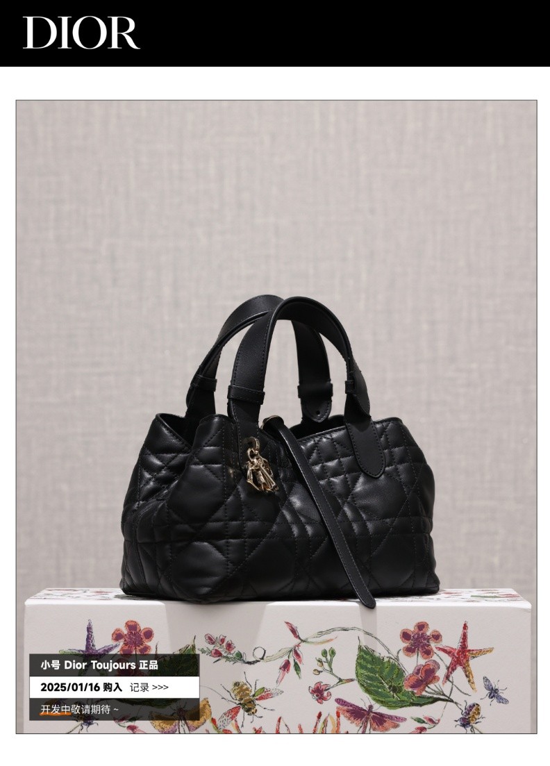 Shebag Super replica Dior Toujours bag details research(August 2025 updated)-Best Quality Fake designer Bag Review, Replica designer bag ru Shebag Super replica Dior Toujours bag details research(August 2025 updated)-Best Quality Fake designer Bag Review, Replica designer bag ru