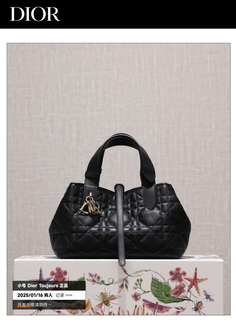 Shebag Super replica Dior Toujours bag details research(August 2025 updated)-Best Quality Fake designer Bag Review, Replica designer bag ru Shebag Super replica Dior Toujours bag details research(August 2025 updated)-Best Quality Fake designer Bag Review, Replica designer bag ru