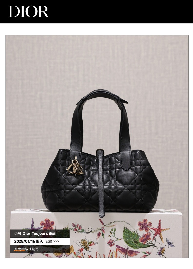 Shebag Super replica Dior Toujours bag details research(August 2025 updated)-Best Quality Fake designer Bag Review, Replica designer bag ru Shebag Super replica Dior Toujours bag details research(August 2025 updated)-Best Quality Fake designer Bag Review, Replica designer bag ru