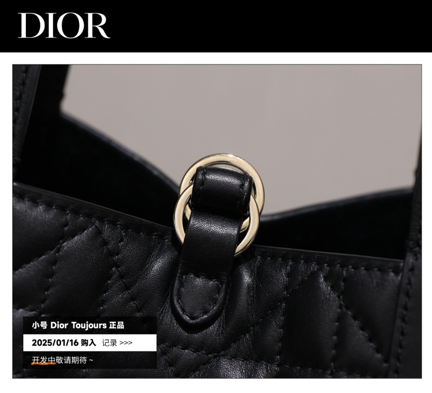 Shebag Super replica Dior Toujours bag details research(August 2025 updated)-Best Quality Fake designer Bag Review, Replica designer bag ru Shebag Super replica Dior Toujours bag details research(August 2025 updated)-Best Quality Fake designer Bag Review, Replica designer bag ru