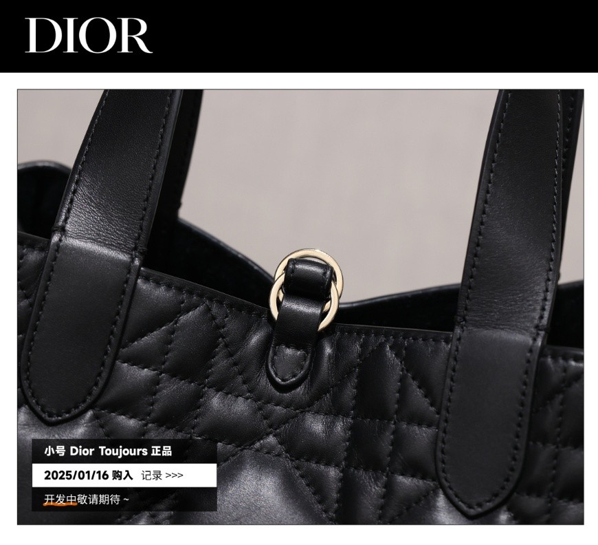 Shebag Super replica Dior Toujours bag details research(August 2025 updated)-Best Quality Fake designer Bag Review, Replica designer bag ru Shebag Super replica Dior Toujours bag details research(August 2025 updated)-Best Quality Fake designer Bag Review, Replica designer bag ru