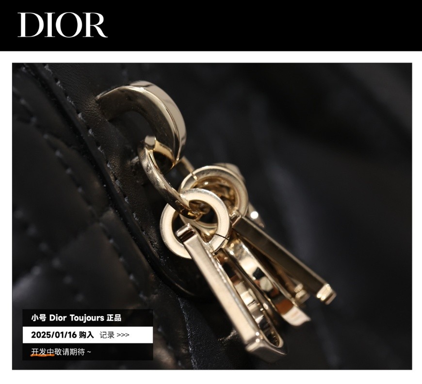 Shebag Super replica Dior Toujours bag details research(August 2025 updated)-Best Quality Fake designer Bag Review, Replica designer bag ru Shebag Super replica Dior Toujours bag details research(August 2025 updated)-Best Quality Fake designer Bag Review, Replica designer bag ru