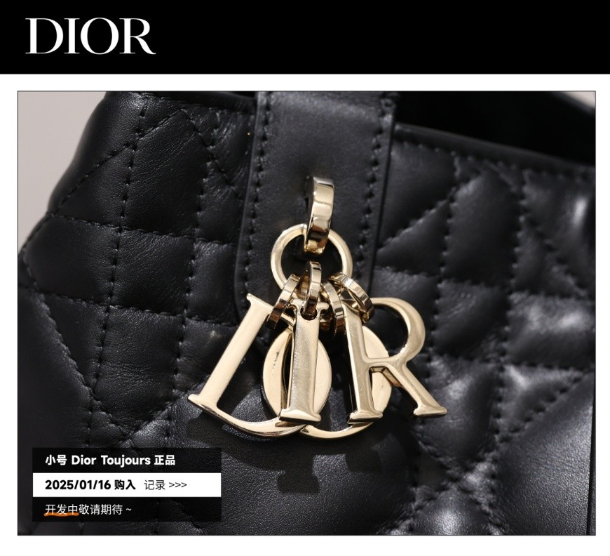 Shebag Super replica Dior Toujours bag details research(August 2025 updated)-Best Quality Fake designer Bag Review, Replica designer bag ru Shebag Super replica Dior Toujours bag details research(August 2025 updated)-Best Quality Fake designer Bag Review, Replica designer bag ru