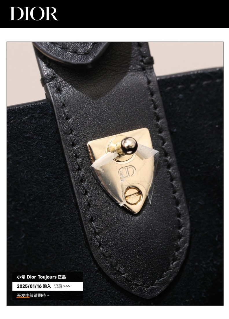 Shebag Super replica Dior Toujours bag details research(August 2025 updated)-Best Quality Fake designer Bag Review, Replica designer bag ru Shebag Super replica Dior Toujours bag details research(August 2025 updated)-Best Quality Fake designer Bag Review, Replica designer bag ru