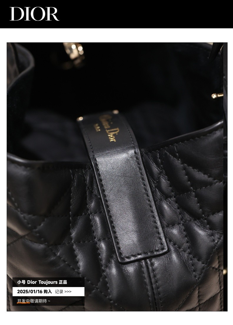 Shebag Super replica Dior Toujours bag details research(August 2025 updated)-Best Quality Fake designer Bag Review, Replica designer bag ru Shebag Super replica Dior Toujours bag details research(August 2025 updated)-Best Quality Fake designer Bag Review, Replica designer bag ru