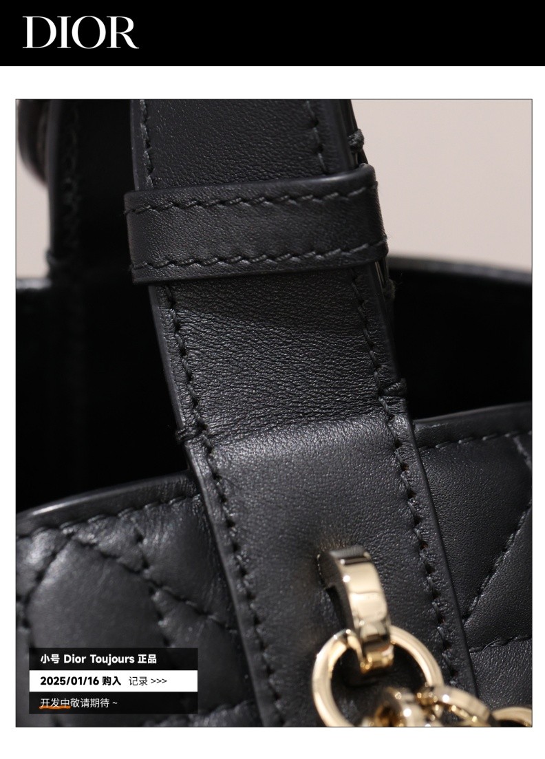Shebag Super replica Dior Toujours bag details research(August 2025 updated)-Best Quality Fake designer Bag Review, Replica designer bag ru Shebag Super replica Dior Toujours bag details research(August 2025 updated)-Best Quality Fake designer Bag Review, Replica designer bag ru
