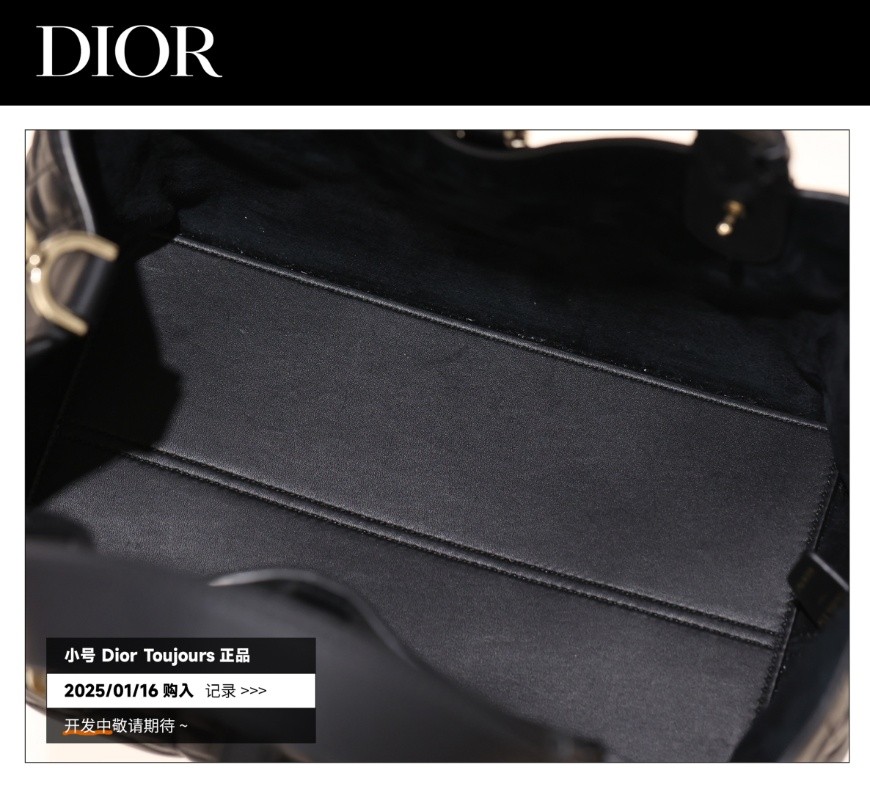 Shebag Super replica Dior Toujours bag details research(August 2025 updated)-Best Quality Fake designer Bag Review, Replica designer bag ru Shebag Super replica Dior Toujours bag details research(August 2025 updated)-Best Quality Fake designer Bag Review, Replica designer bag ru