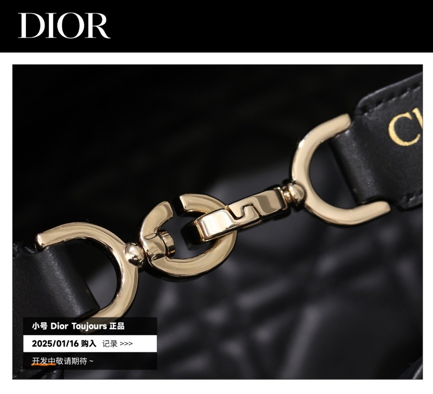 Shebag Super replica Dior Toujours bag details research(August 2025 updated)-Best Quality Fake designer Bag Review, Replica designer bag ru Shebag Super replica Dior Toujours bag details research(August 2025 updated)-Best Quality Fake designer Bag Review, Replica designer bag ru