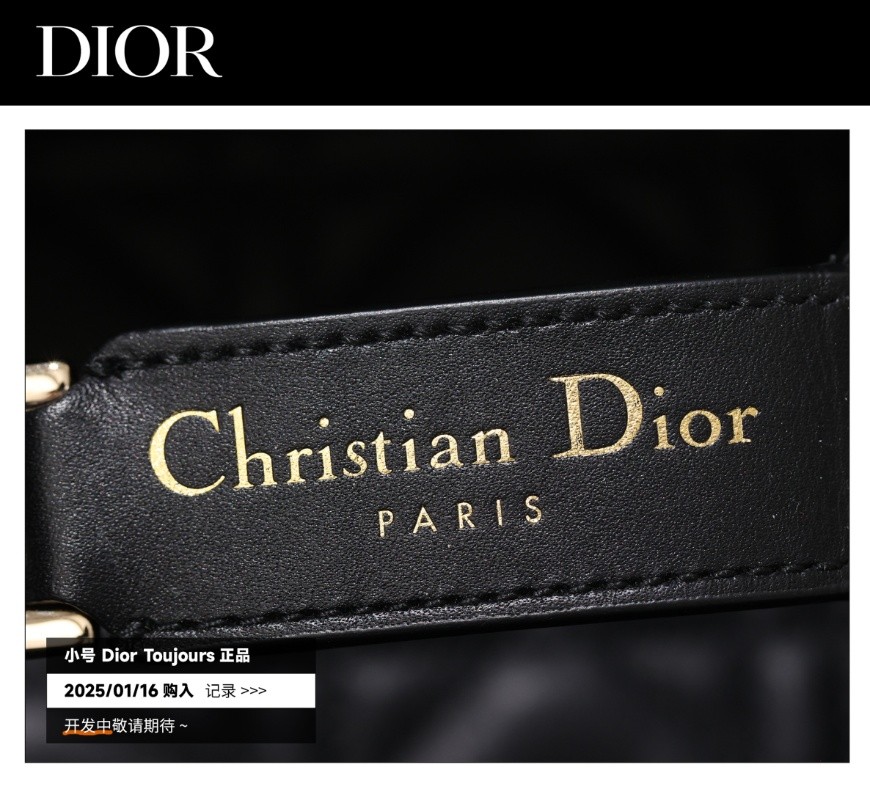 Shebag Super replica Dior Toujours bag details research(August 2025 updated)-Best Quality Fake designer Bag Review, Replica designer bag ru Shebag Super replica Dior Toujours bag details research(August 2025 updated)-Best Quality Fake designer Bag Review, Replica designer bag ru