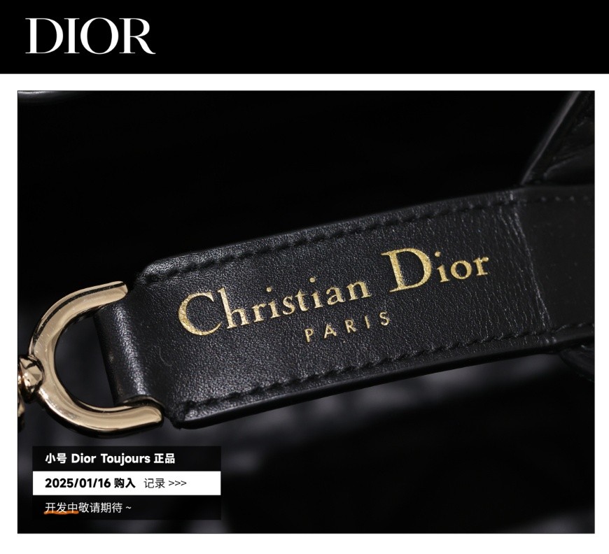 Shebag Super replica Dior Toujours bag details research(August 2025 updated)-Best Quality Fake designer Bag Review, Replica designer bag ru Shebag Super replica Dior Toujours bag details research(August 2025 updated)-Best Quality Fake designer Bag Review, Replica designer bag ru