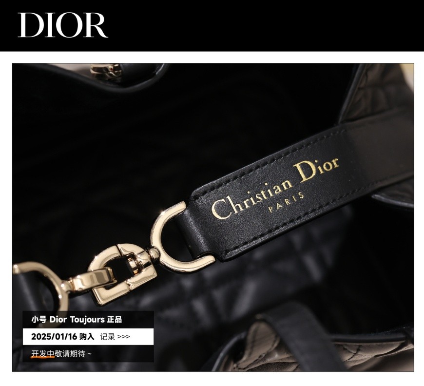 Shebag Super replica Dior Toujours bag details research(August 2025 updated)-Best Quality Fake designer Bag Review, Replica designer bag ru Shebag Super replica Dior Toujours bag details research(August 2025 updated)-Best Quality Fake designer Bag Review, Replica designer bag ru