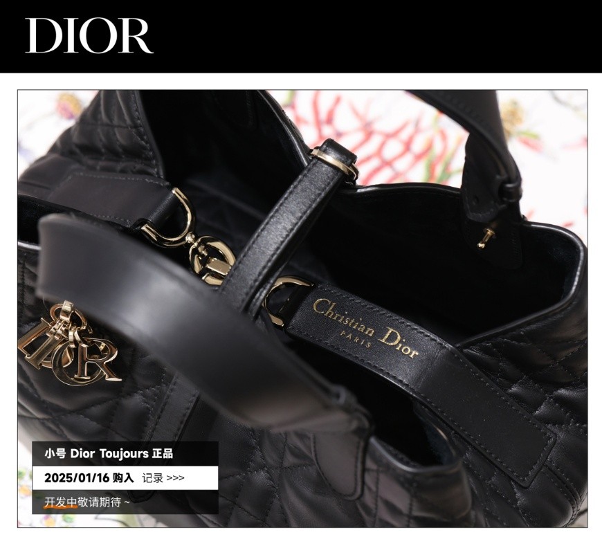 Shebag Super replica Dior Toujours bag details research(August 2025 updated)-Best Quality Fake designer Bag Review, Replica designer bag ru Shebag Super replica Dior Toujours bag details research(August 2025 updated)-Best Quality Fake designer Bag Review, Replica designer bag ru