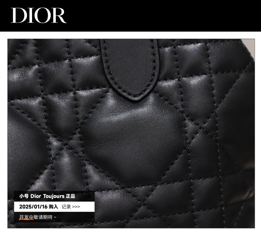 Shebag Super replica Dior Toujours bag details research(August 2025 updated)-Best Quality Fake designer Bag Review, Replica designer bag ru Shebag Super replica Dior Toujours bag details research(August 2025 updated)-Best Quality Fake designer Bag Review, Replica designer bag ru