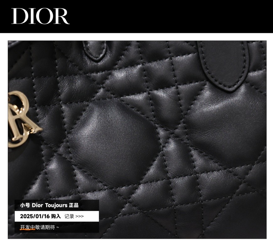 Shebag Super replica Dior Toujours bag details research(August 2025 updated)-Best Quality Fake designer Bag Review, Replica designer bag ru Shebag Super replica Dior Toujours bag details research(August 2025 updated)-Best Quality Fake designer Bag Review, Replica designer bag ru