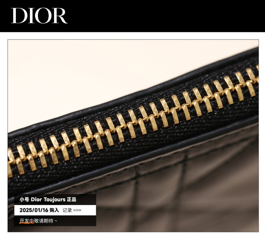 Shebag Super replica Dior Toujours bag details research(August 2025 updated)-Best Quality Fake designer Bag Review, Replica designer bag ru Shebag Super replica Dior Toujours bag details research(August 2025 updated)-Best Quality Fake designer Bag Review, Replica designer bag ru