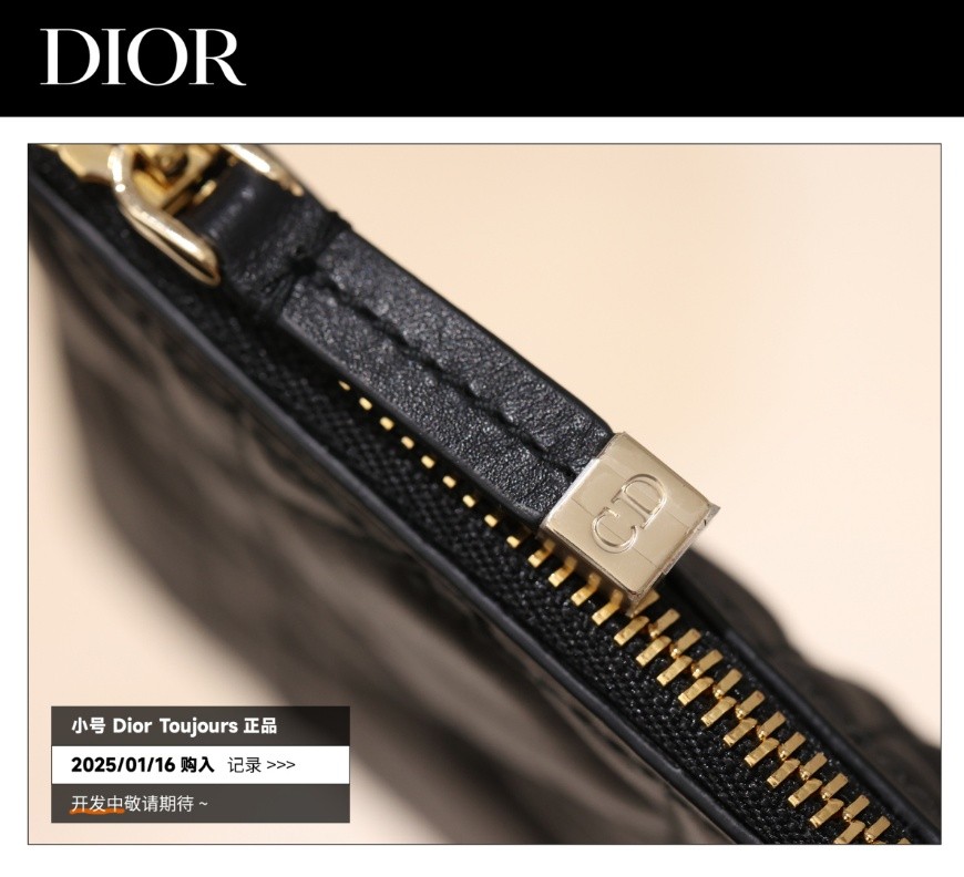 Shebag Super replica Dior Toujours bag details research(August 2025 updated)-Best Quality Fake designer Bag Review, Replica designer bag ru Shebag Super replica Dior Toujours bag details research(August 2025 updated)-Best Quality Fake designer Bag Review, Replica designer bag ru