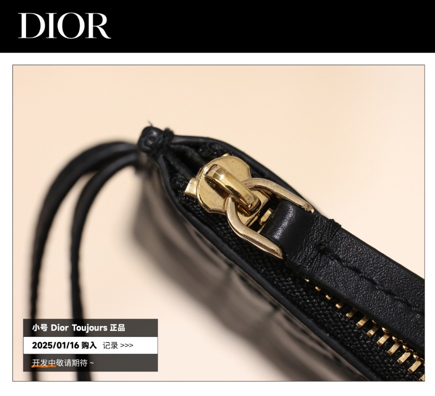 Shebag Super replica Dior Toujours bag details research(August 2025 updated)-Best Quality Fake designer Bag Review, Replica designer bag ru Shebag Super replica Dior Toujours bag details research(August 2025 updated)-Best Quality Fake designer Bag Review, Replica designer bag ru