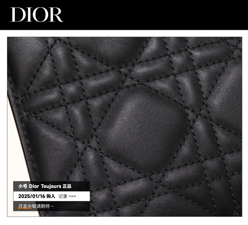 Shebag Super replica Dior Toujours bag details research(August 2025 updated)-Best Quality Fake designer Bag Review, Replica designer bag ru Shebag Super replica Dior Toujours bag details research(August 2025 updated)-Best Quality Fake designer Bag Review, Replica designer bag ru