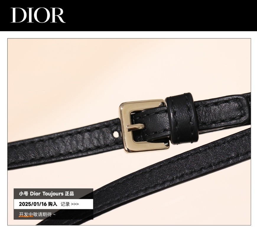 Shebag Super replica Dior Toujours bag details research(August 2025 updated)-Best Quality Fake designer Bag Review, Replica designer bag ru Shebag Super replica Dior Toujours bag details research(August 2025 updated)-Best Quality Fake designer Bag Review, Replica designer bag ru