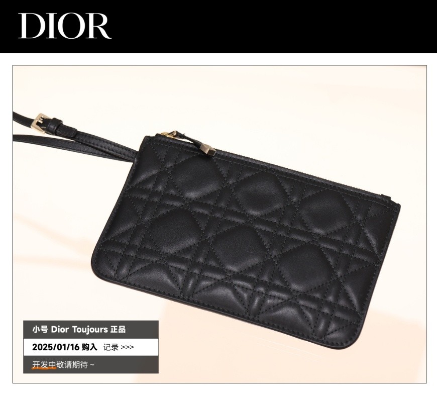 Shebag Super replica Dior Toujours bag details research(August 2025 updated)-Best Quality Fake designer Bag Review, Replica designer bag ru Shebag Super replica Dior Toujours bag details research(August 2025 updated)-Best Quality Fake designer Bag Review, Replica designer bag ru