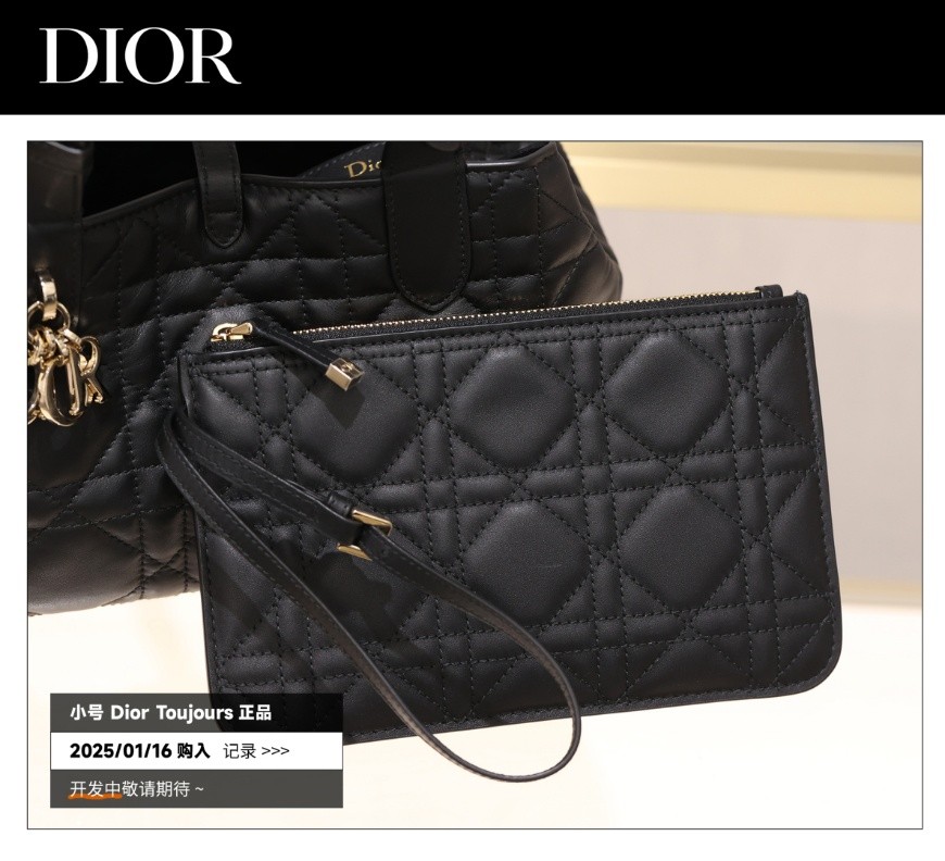 Shebag Super replica Dior Toujours bag details research(August 2025 updated)-Best Quality Fake designer Bag Review, Replica designer bag ru Shebag Super replica Dior Toujours bag details research(August 2025 updated)-Best Quality Fake designer Bag Review, Replica designer bag ru