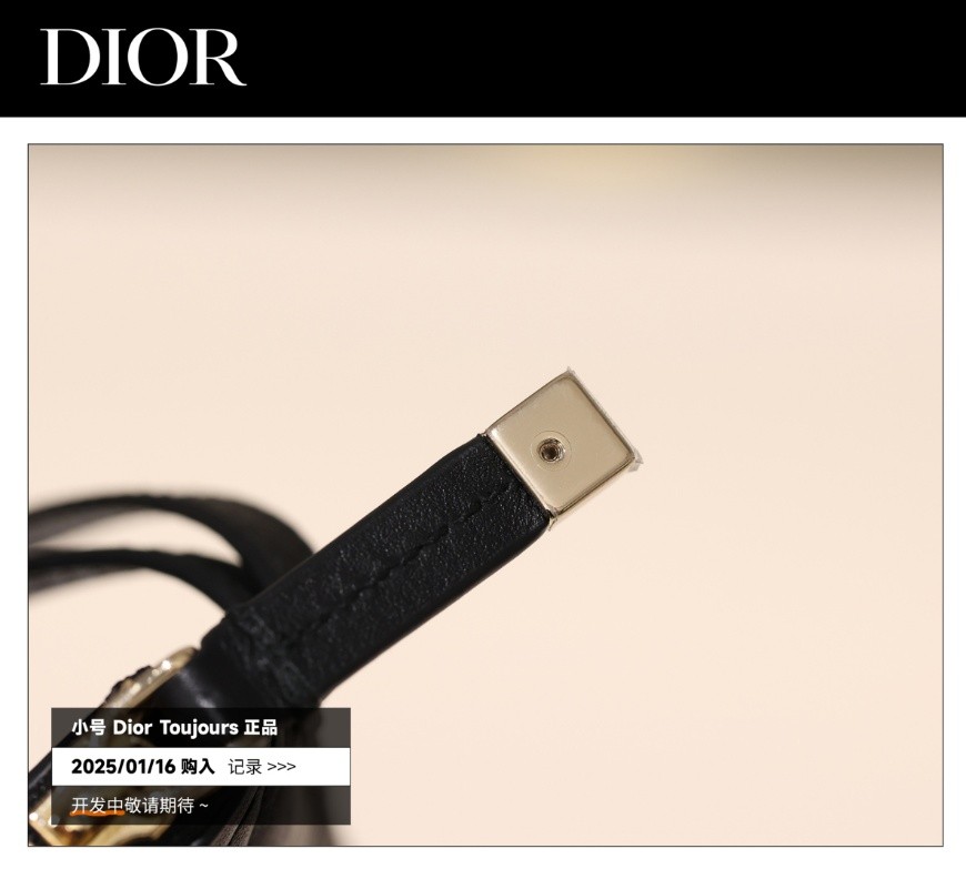 Shebag Super replica Dior Toujours bag details research(August 2025 updated)-Best Quality Fake designer Bag Review, Replica designer bag ru Shebag Super replica Dior Toujours bag details research(August 2025 updated)-Best Quality Fake designer Bag Review, Replica designer bag ru