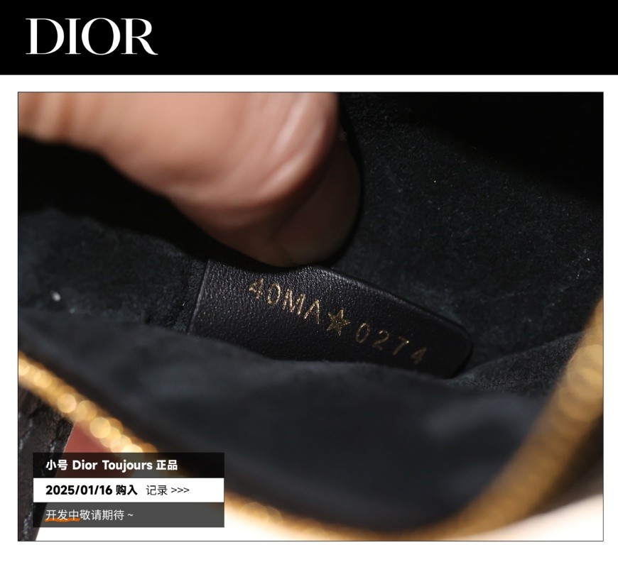 Shebag Super replica Dior Toujours bag details research(August 2025 updated)-Best Quality Fake designer Bag Review, Replica designer bag ru Shebag Super replica Dior Toujours bag details research(August 2025 updated)-Best Quality Fake designer Bag Review, Replica designer bag ru