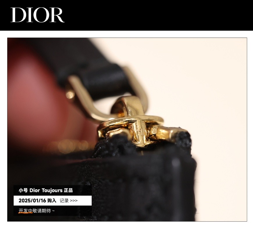 Shebag Super replica Dior Toujours bag details research(August 2025 updated)-Best Quality Fake designer Bag Review, Replica designer bag ru Shebag Super replica Dior Toujours bag details research(August 2025 updated)-Best Quality Fake designer Bag Review, Replica designer bag ru