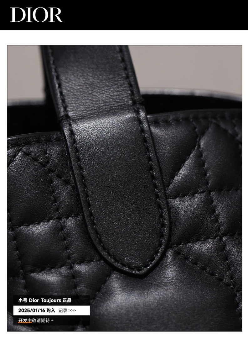 Shebag Super replica Dior Toujours bag details research(August 2025 updated)-Best Quality Fake designer Bag Review, Replica designer bag ru Shebag Super replica Dior Toujours bag details research(August 2025 updated)-Best Quality Fake designer Bag Review, Replica designer bag ru