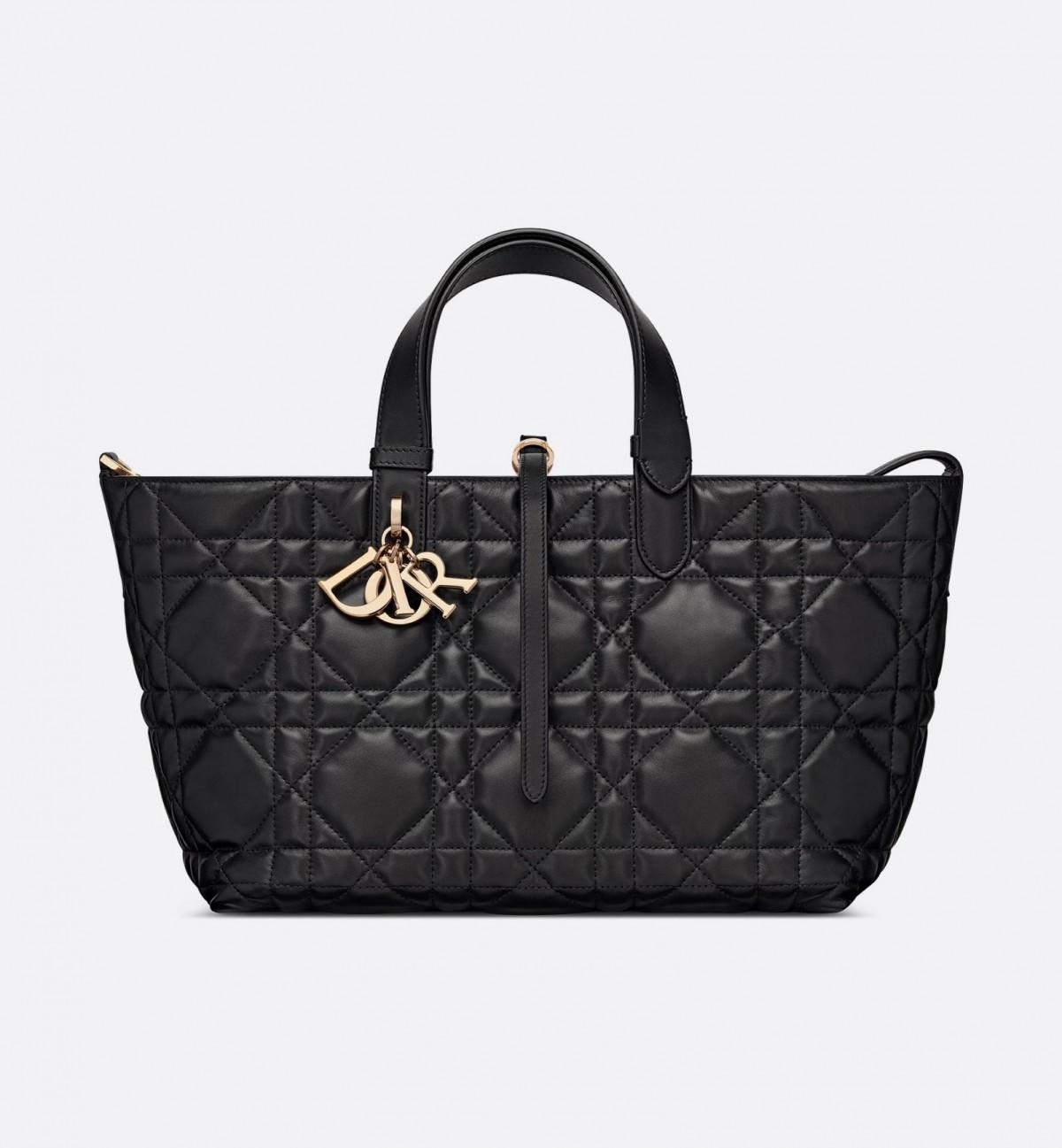 Dior Toujours medium Shebag VS Authentic bag review(August 2025 updated)-Best Quality Fake designer Bag Review, Replica designer bag ru