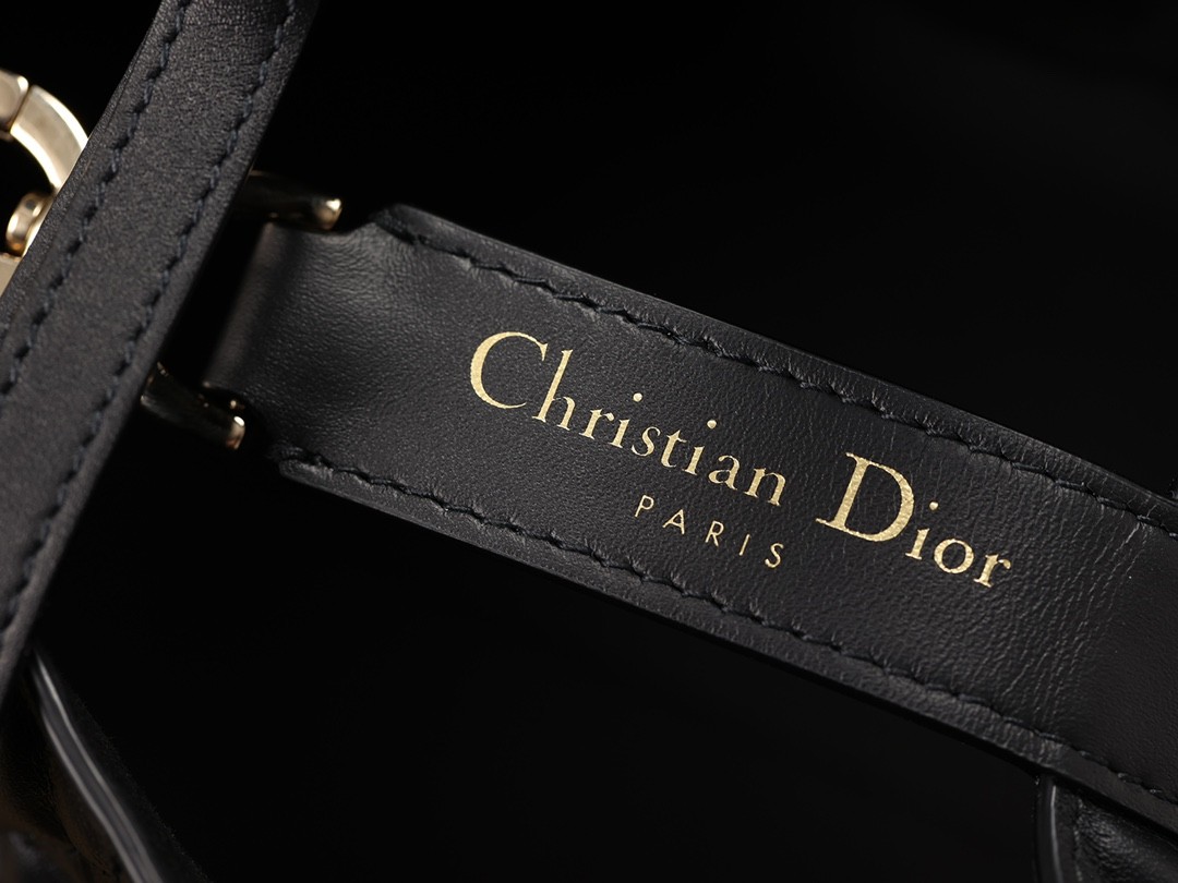 Dior Toujours medium Shebag VS Authentic bag review(August 2025 updated)-Best Quality Fake designer Bag Review, Replica designer bag ru