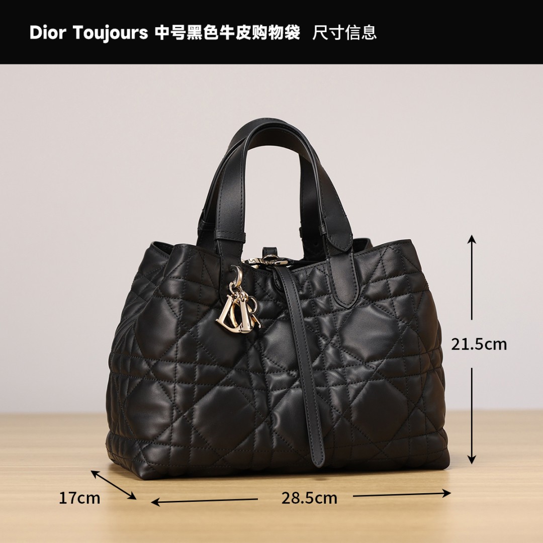 Dior Toujours medium Shebag VS Authentic bag review(August 2025 updated)-Best Quality Fake designer Bag Review, Replica designer bag ru