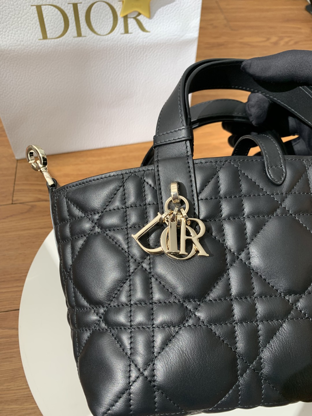 Shebag Super replica Dior toujours large bag review(August 2025 updated)-Best Quality Fake designer Bag Review, Replica designer bag ru