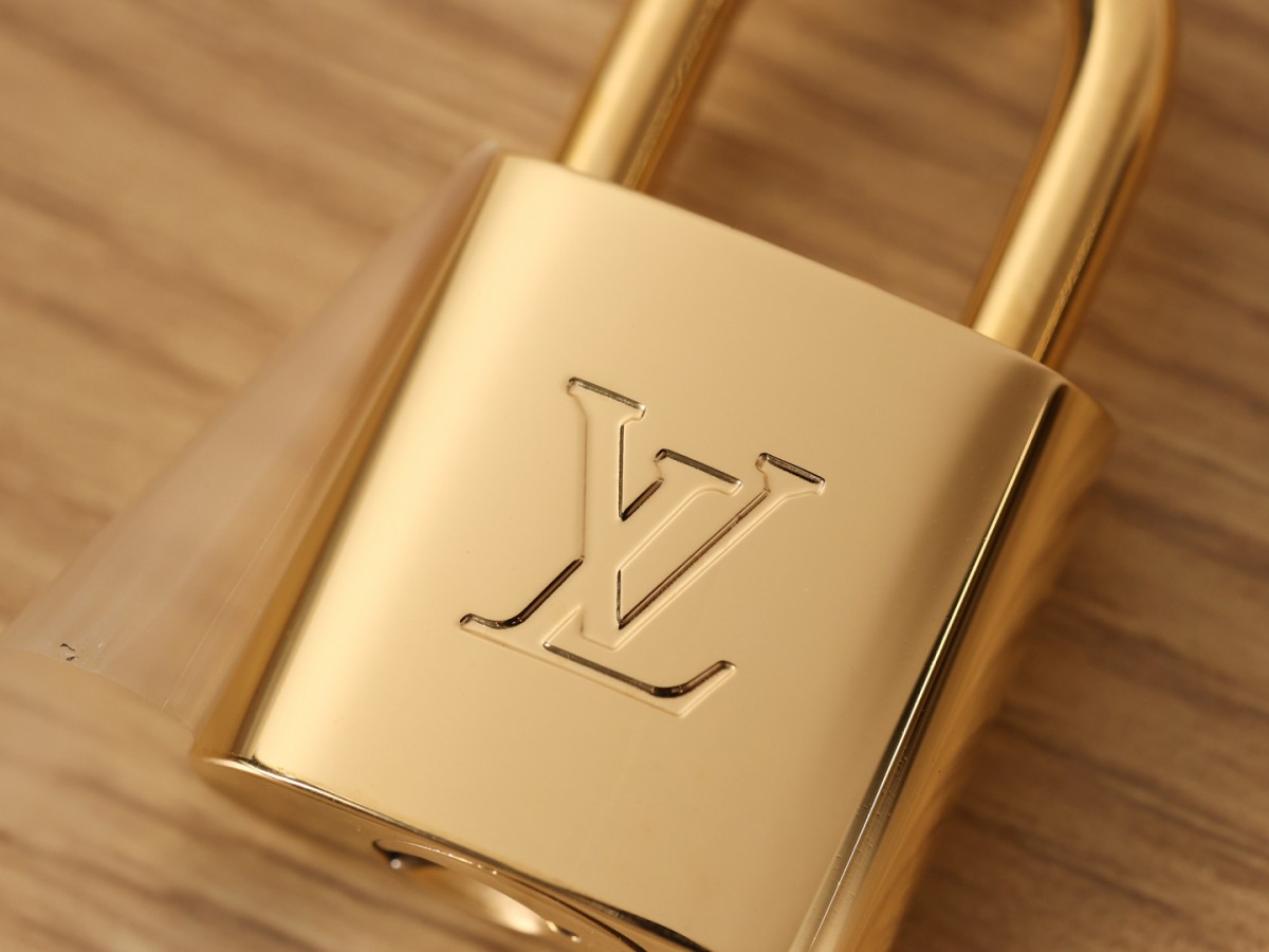 Shebag super replica Louis Vuitton Speedy 20 bag collection(Oct 2025 updated)-Best Quality Fake designer Bag Review, Replica designer bag ru