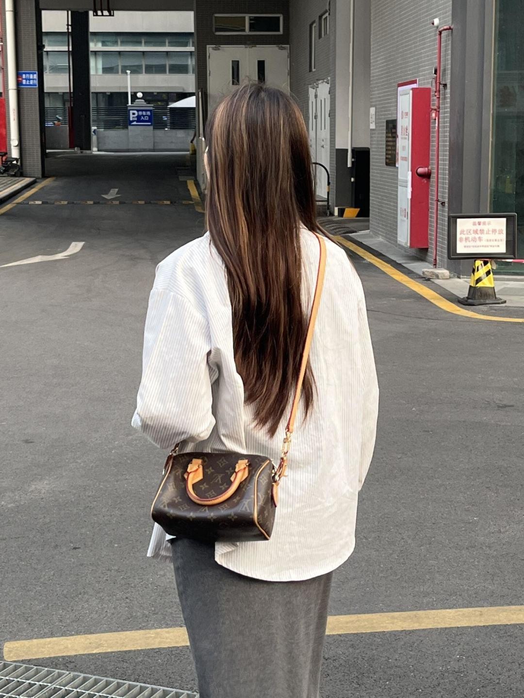 Shebag super replica Louis Vuitton Speedy 20 bag collection(Oct 2025 updated)-Best Quality Fake designer Bag Review, Replica designer bag ru