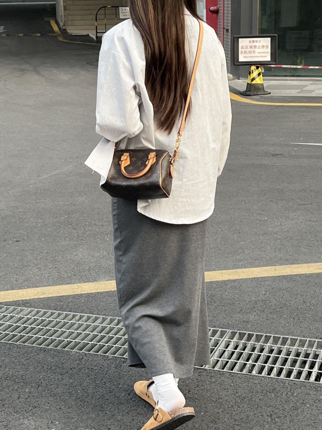 Shebag super replica Louis Vuitton Speedy 20 bag collection(Oct 2025 updated)-Best Quality Fake designer Bag Review, Replica designer bag ru